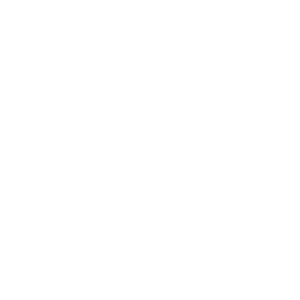 Bronto Skylift