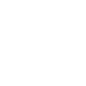 FSP
