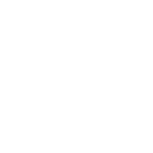 Ponsse